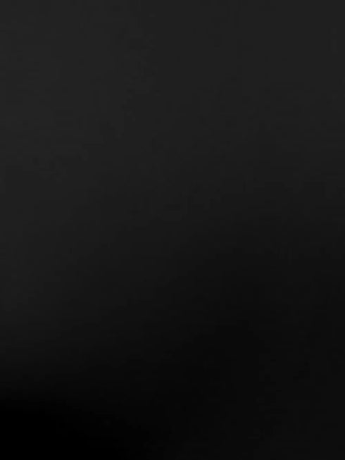 c6cfe1f5-dad4-41b0-b499-898a087d4cdb-Max