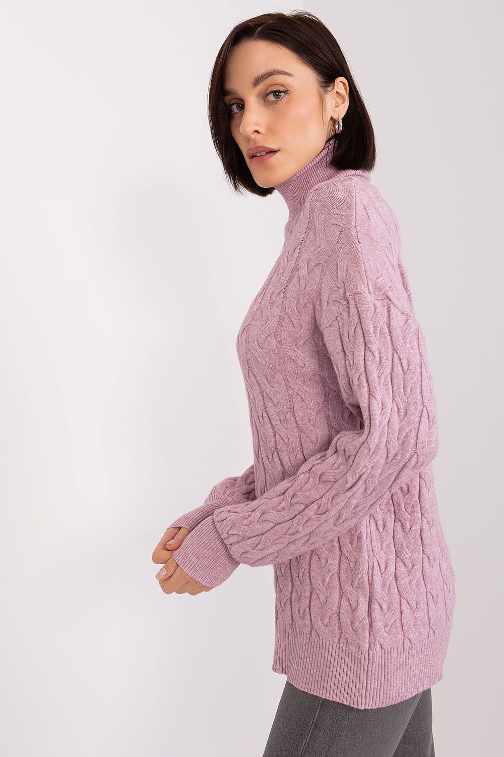  Turtleneck model 188298 AT 