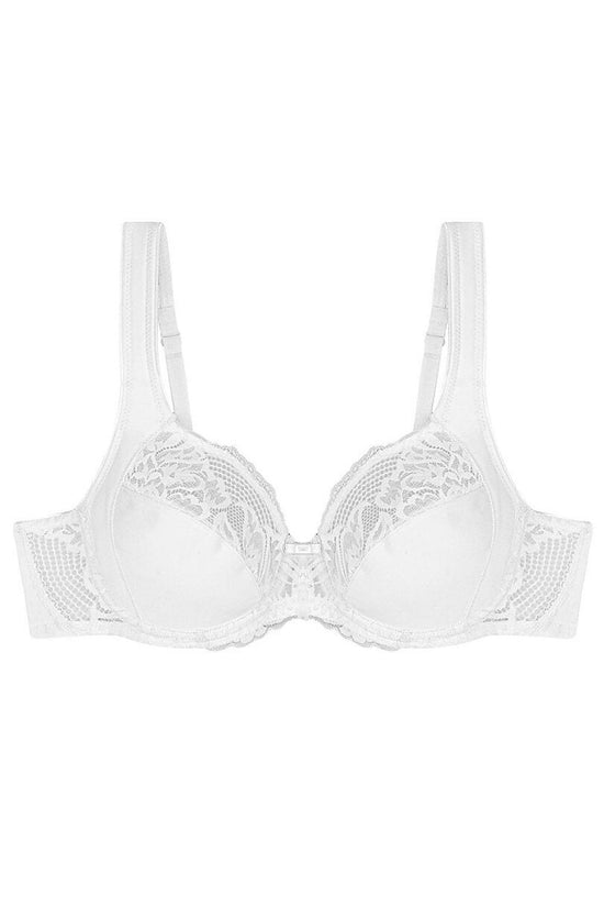  Soft model 229104 Triumph 