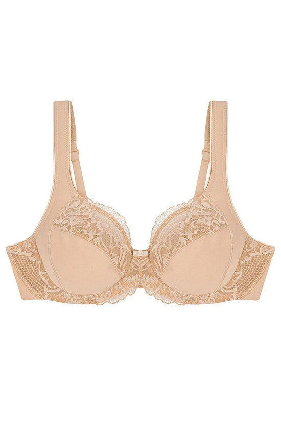  Soft model 229105 Triumph 
