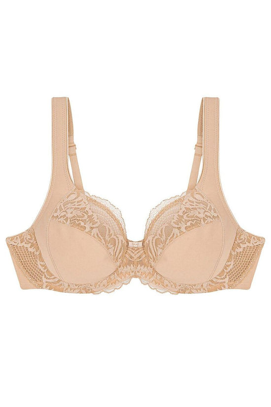  Soft model 229106 Triumph 