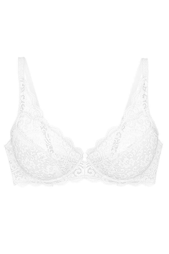  Soft model 229109 Triumph 