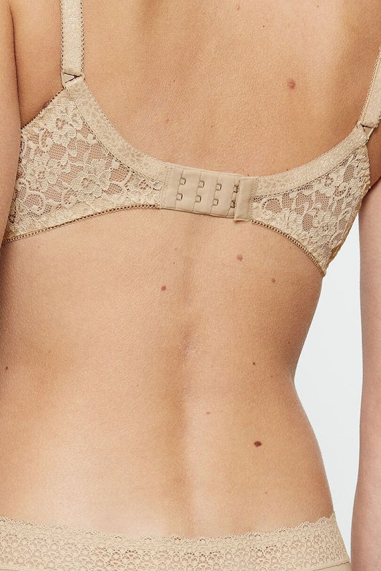  Soft model 229327 Triumph 
