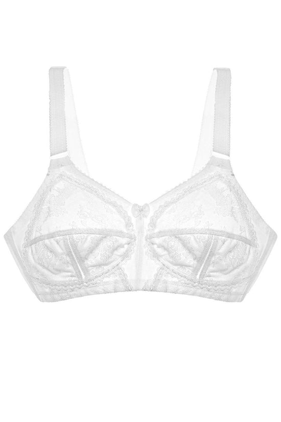  Soft model 229860 Triumph 