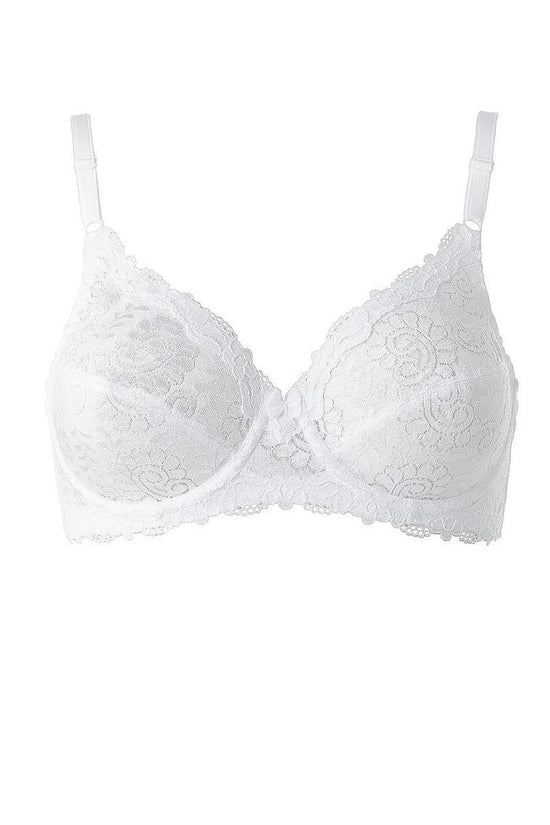  Soft model 230069 Triumph 