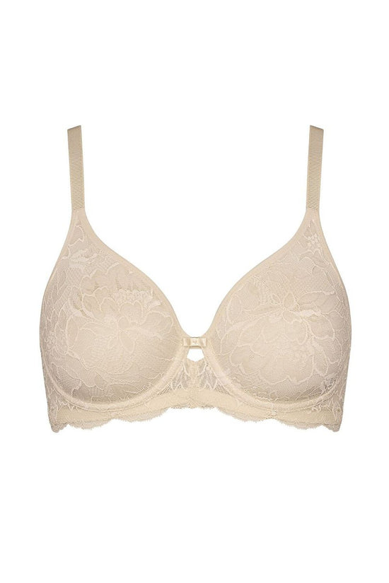  Soft model 230216 Triumph 
