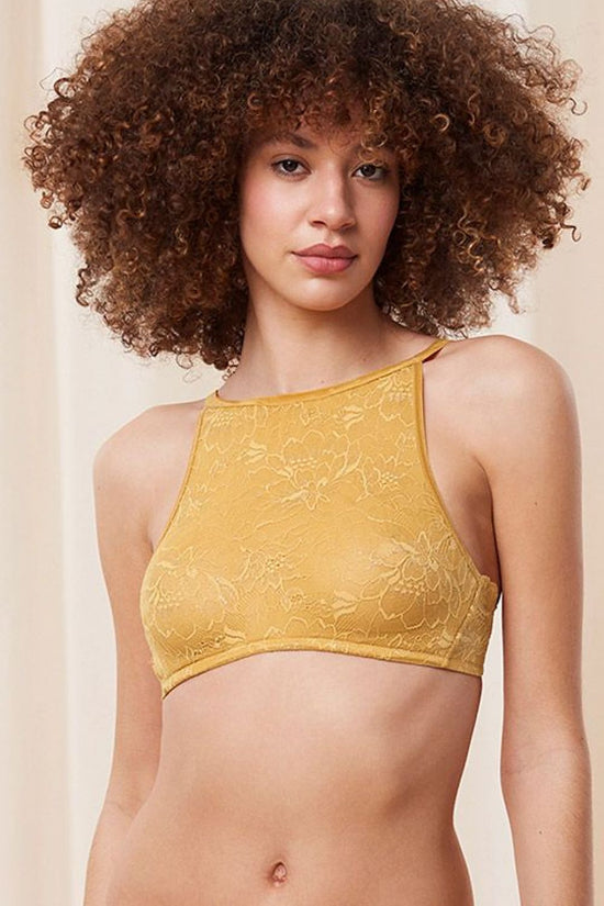  Soft model 230245 Triumph 