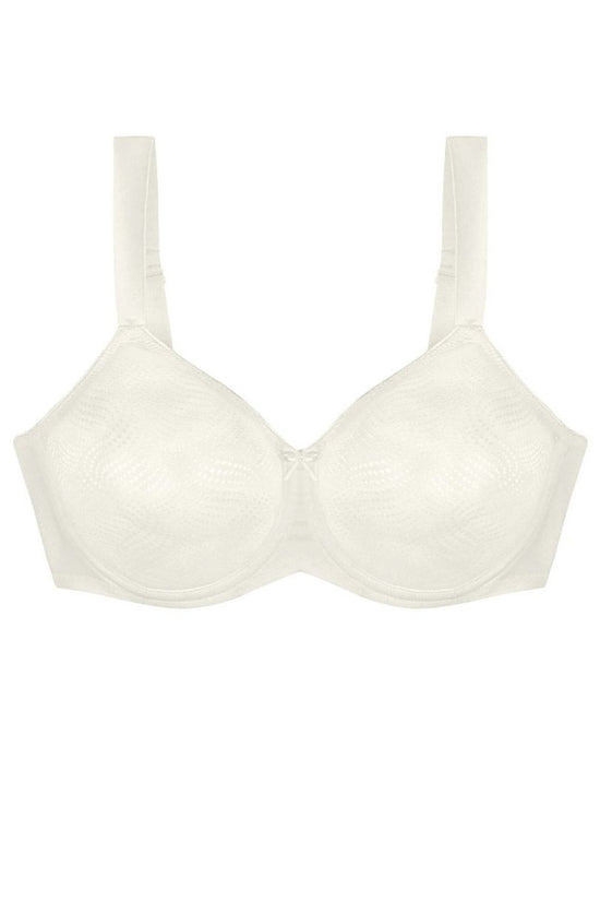  Soft model 230705 Triumph 