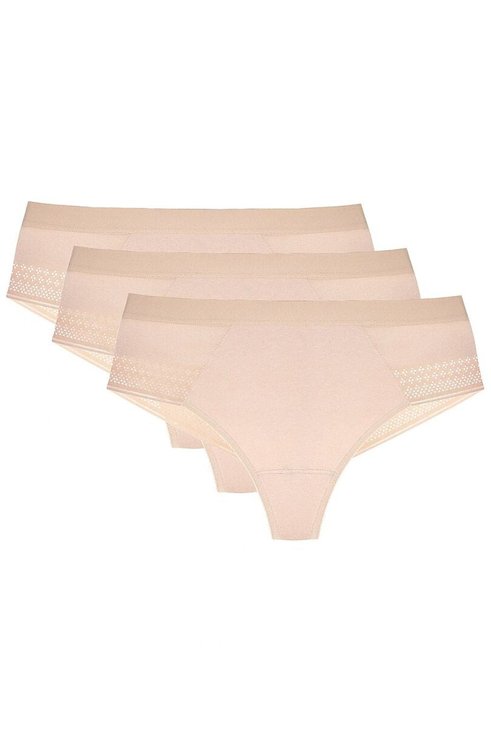  Set model 231557 Gorteks 